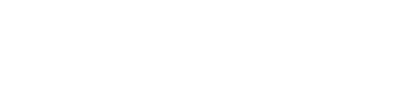 VV Enterprises